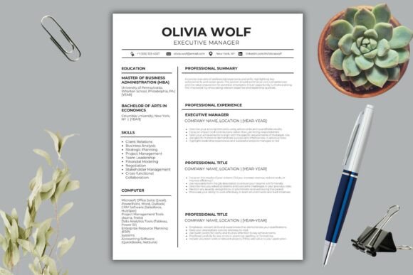 Download Professional Resume Canva Templates - Canva template Collection